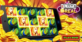 beet3in নাম্বার গাইডের তুলনামূলক বিন্যাস